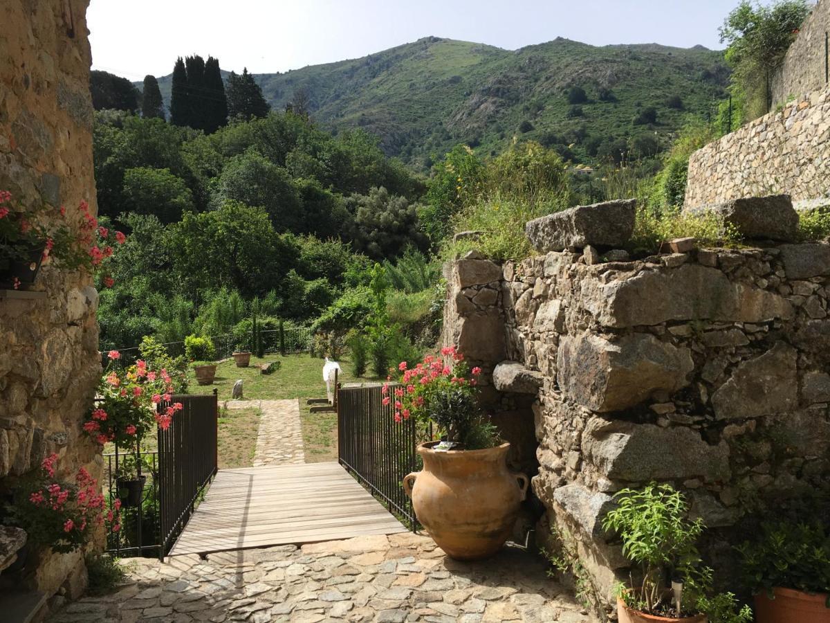 Chambres D'Hotes - Mulino Nannare Ville-di-Paraso Exterior foto