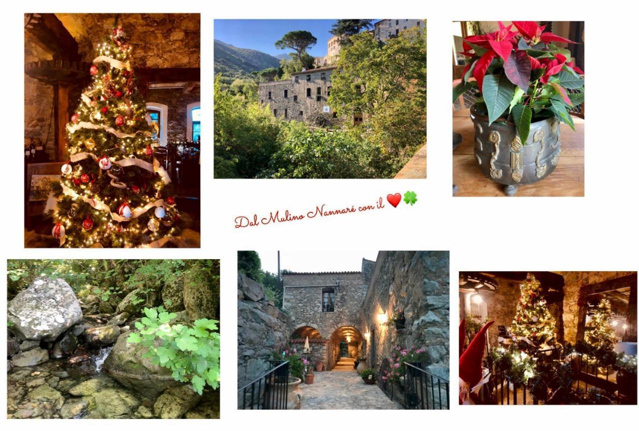 Chambres D'Hotes - Mulino Nannare Ville-di-Paraso Exterior foto