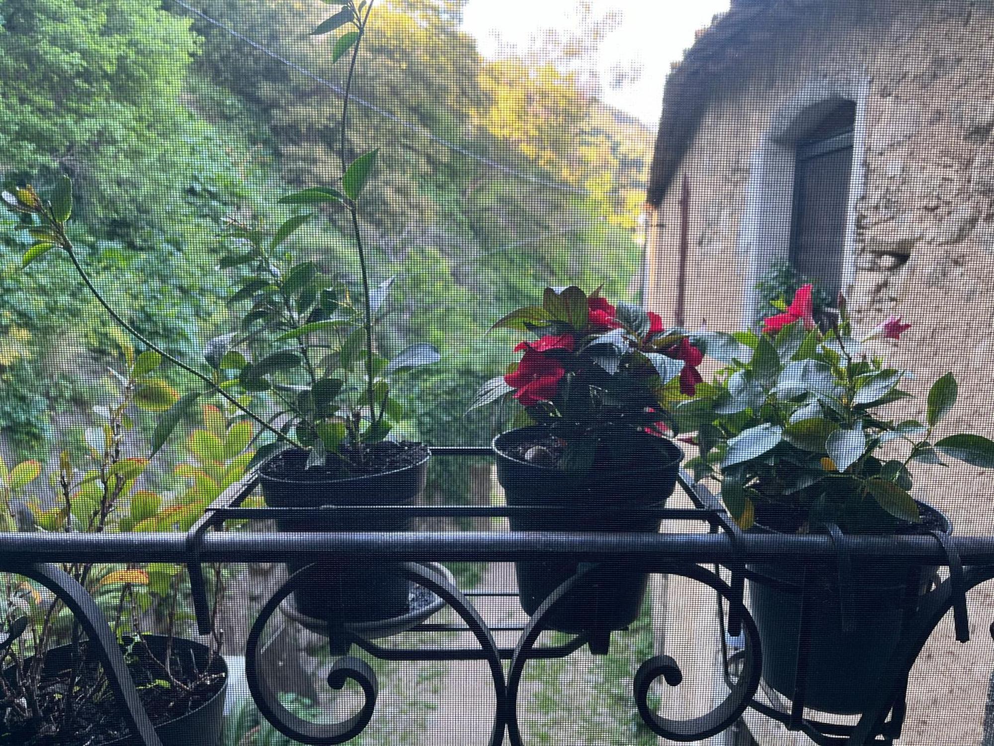 Chambres D'Hotes - Mulino Nannare Ville-di-Paraso Exterior foto